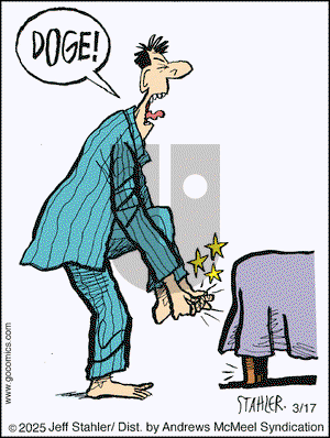 Moderately Confused on Monday March 17, 2025 Comic Strip