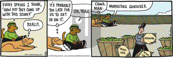 Overboard - Monday May 15, 2023 Comic Strip