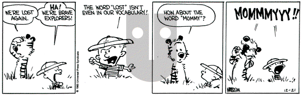 Calvin and Hobbes on Saturday December 21, 1985 Comic Strip