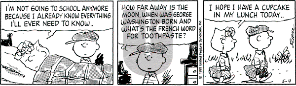 Peanuts - Tuesday May 4, 1993 Comic Strip