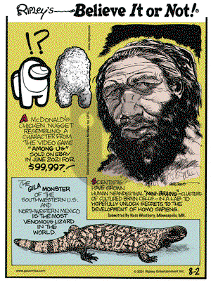 Ripley's Believe It or Not on Monday August 2, 2021 Comic Strip