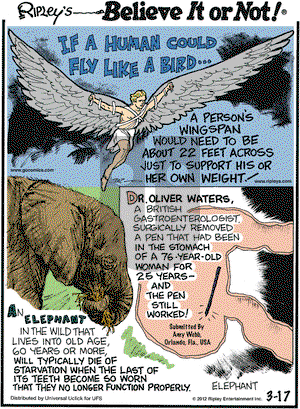 Ripley's Believe It or Not on Saturday March 17, 2012 Comic Strip