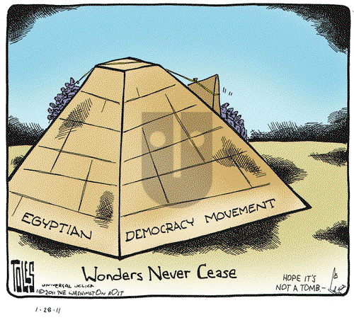 Tom Toles on Friday January 28, 2011 Comic Strip