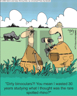 The Flying McCoys on Tuesday January 27, 2009 Comic Strip