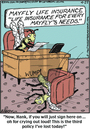 Close to Home on Friday April 22, 2016 Comic Strip