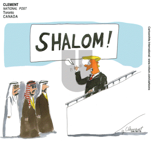 ViewsMidEast - Tuesday May 23, 2017 Comic Strip