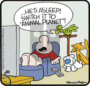 Ziggy on Tuesday May 21, 2019 Comic Strip