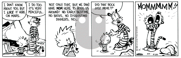Calvin and Hobbes on Saturday September 24, 1988 Comic Strip