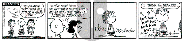 Peanuts on Friday July 13, 1973 Comic Strip