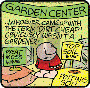 Ziggy on Friday July 16, 2021 Comic Strip