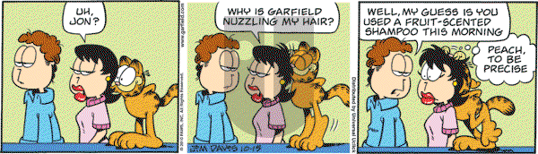 Garfield - Friday October 15, 2010 Comic Strip