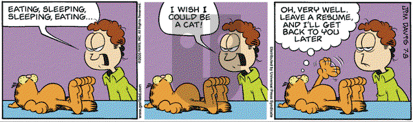 Garfield on Friday July 8, 2005 Comic Strip