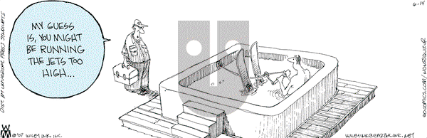 Non Sequitur on Thursday July 19, 2007 Comic Strip