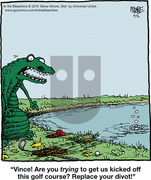 In the Bleachers on Friday May 2, 2014 Comic Strip