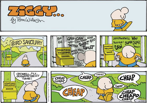 Ziggy on Sunday May 27, 2018 Comic Strip