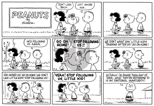 Peanuts on Sunday September 6, 1964 Comic Strip