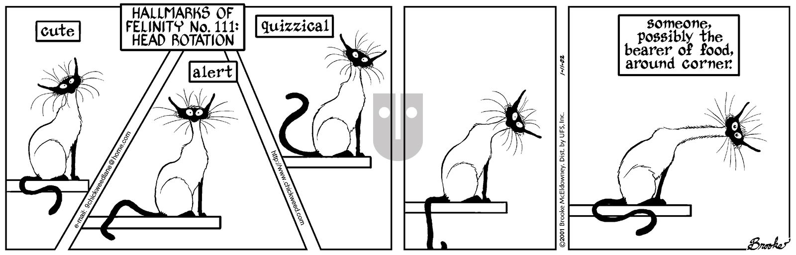 9 Chickweed Lane - Friday January 11, 2002 Comic Strip