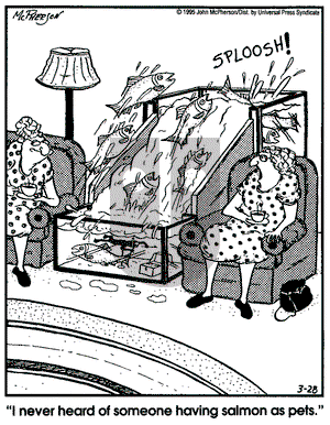 Close to Home - Tuesday March 28, 1995 Comic Strip