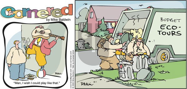 Cornered on Sunday August 1, 2010 Comic Strip