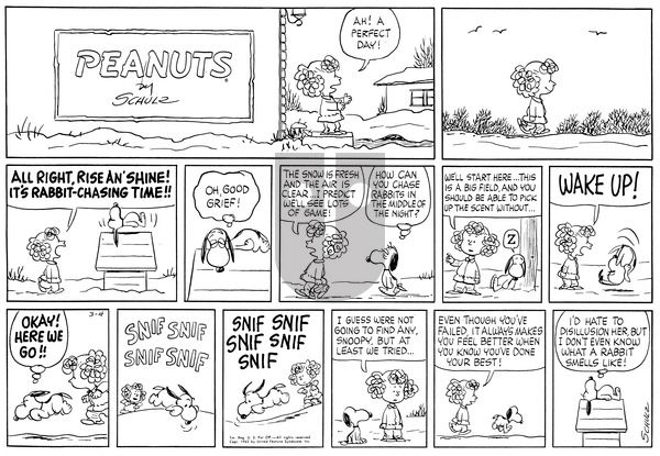 Peanuts on Sunday March 4, 1962 Comic Strip