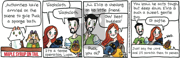 Breaking Cat News on Monday March 9, 2020 Comic Strip