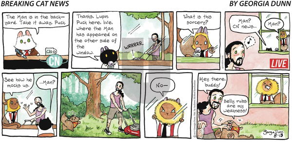 Breaking Cat News on Sunday August 13, 2017 Comic Strip