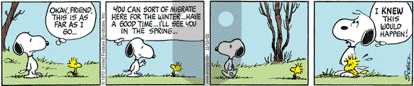 Peanuts on Tuesday November 19, 2002 Comic Strip