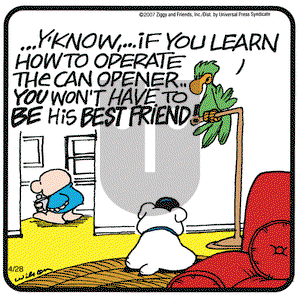 Ziggy on Saturday April 28, 2007 Comic Strip