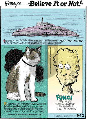 Ripley's Believe It or Not on Wednesday May 12, 2021 Comic Strip