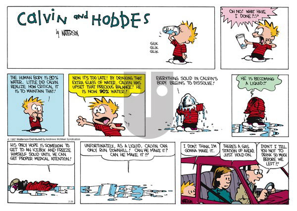 Calvin and Hobbes - Sunday February 26, 2017 Comic Strip