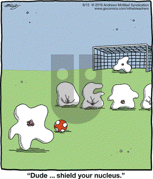 In the Bleachers on Monday August 12, 2019 Comic Strip