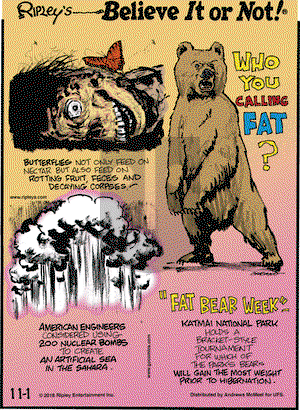Ripley's Believe It or Not on Thursday November 1, 2018 Comic Strip