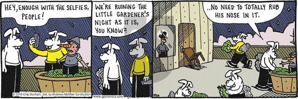 Overboard on Wednesday July 24, 2019 Comic Strip