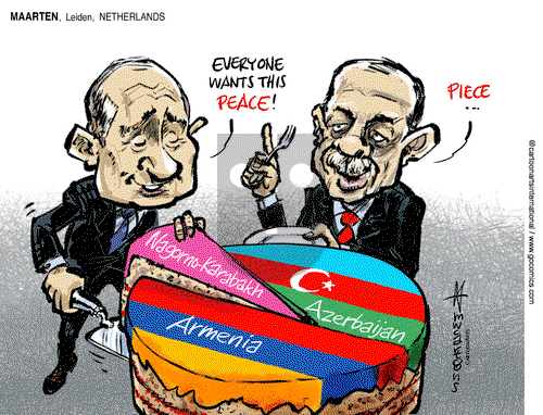 ViewsMidEast on Wednesday November 11, 2020 Comic Strip