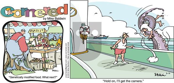 Cornered on Sunday August 19, 2012 Comic Strip