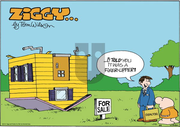 Ziggy on Sunday August 8, 2010 Comic Strip
