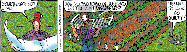 Rose is Rose on Thursday August 15, 2019 Comic Strip