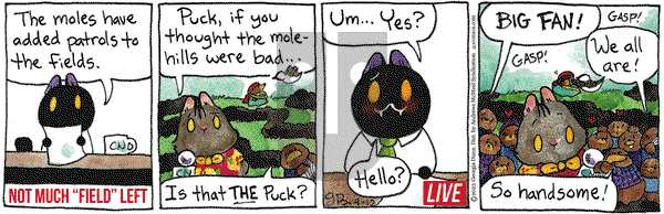 Breaking Cat News - Tuesday September 12, 2023 Comic Strip