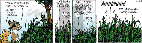 Over the Hedge on Monday May 20, 2019 Comic Strip