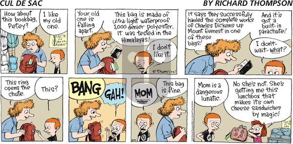 Cul de Sac on Sunday August 31, 2008 Comic Strip