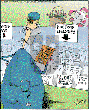 The Flying McCoys on Tuesday July 30, 2013 Comic Strip