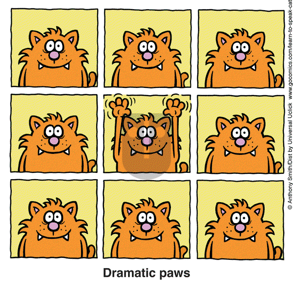 Learn to Speak Cat on Wednesday March 5, 2025 Comic Strip