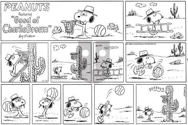 Peanuts on Sunday November 16, 1986 Comic Strip