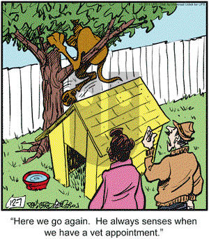 Marmaduke on Wednesday December 7, 2011 Comic Strip