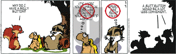 Over the Hedge on Monday February 4, 2013 Comic Strip