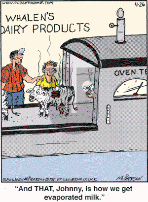 Close to Home on Tuesday April 26, 2011 Comic Strip