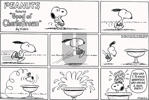Peanuts - Sunday August 1, 1976 Comic Strip