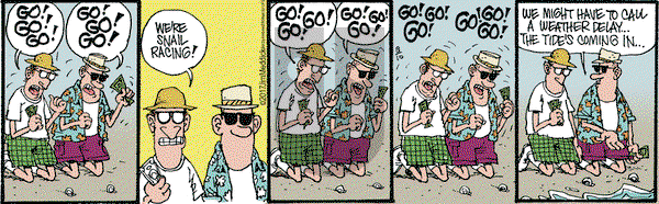 Monty on Thursday August 10, 2017 Comic Strip