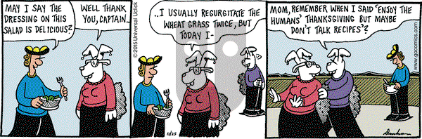 Overboard on Wednesday November 25, 2015 Comic Strip