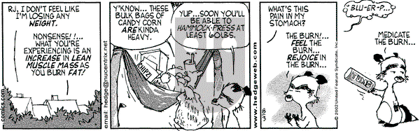 Over the Hedge on Saturday August 3, 2002 Comic Strip
